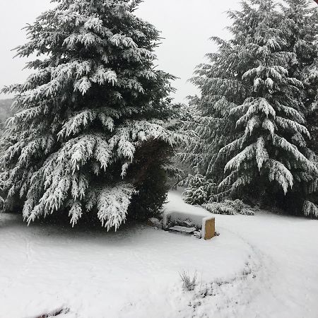 Terrazas Del Lopez Villa San Carlos de Bariloche Exterior foto